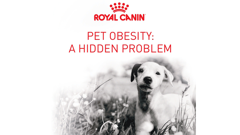 Paw-sitive steps needed as pet obesity balloons globally