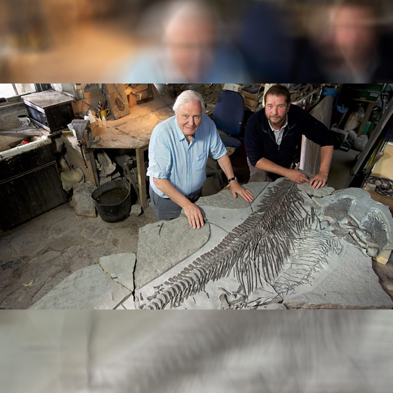 BBC Studios partners with Vuulr to list over 3,000 hours of British content in Asia