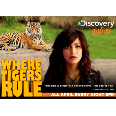 Discovery Tamil launches a month long programming initiative ‘WHERE TIGERS RULE’
