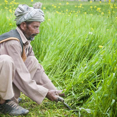 Unilever, Acumen and Clinton announce $10 million initiative to support farmers