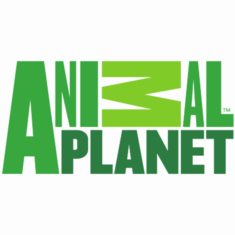 Animal Planet to showcase ‘Great Savannah Race’