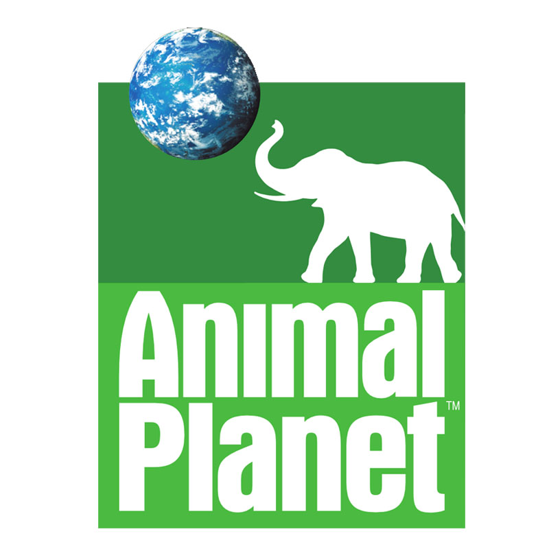 Animal Planet’s contest looks to unearth talent