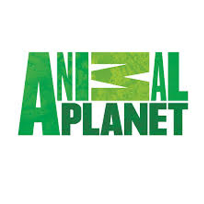 Animal Planet circles the globe for ‘Animal Battlegrounds’