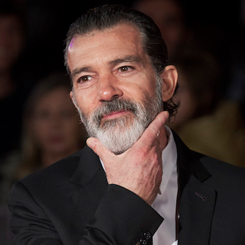 Banderas to play Picasso in 33 Dias