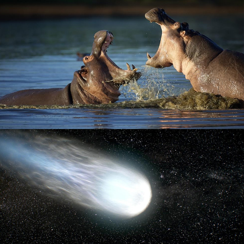 CNN, EBS & Discovery buy factual programmes from Bomanbridge