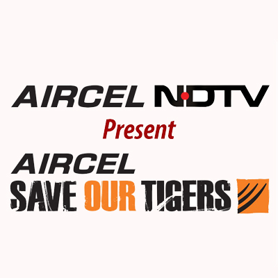 Aircel and NDTV announced the 3rd season of Save Our Tigers campaign