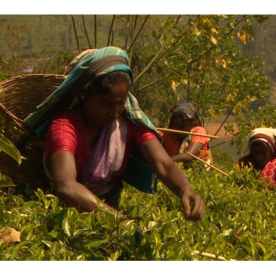 CNNGo explores the serene Sri Lanka