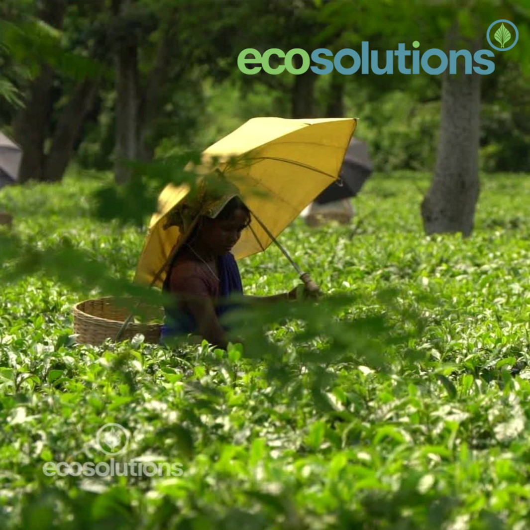 Suzlon group promotes ecological innovation through Global Campaign On CNN