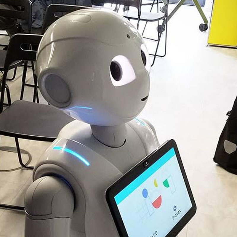 Ed-tech platforms reap gains during lockdown