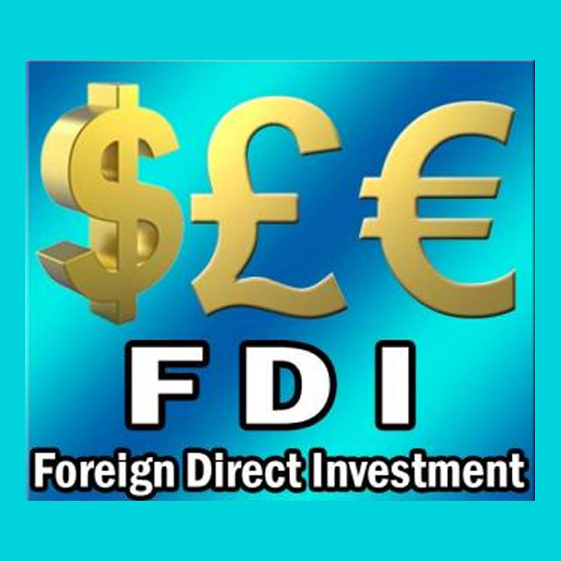 HITS a gain but government mum on FDI hike in 2009