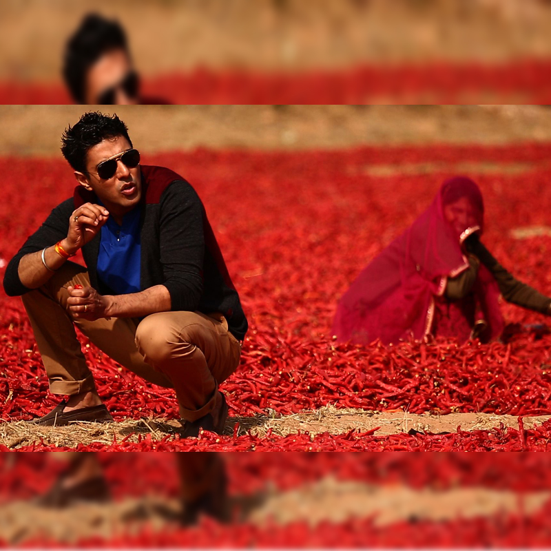 Food content dominates viewership on lifestyle channels