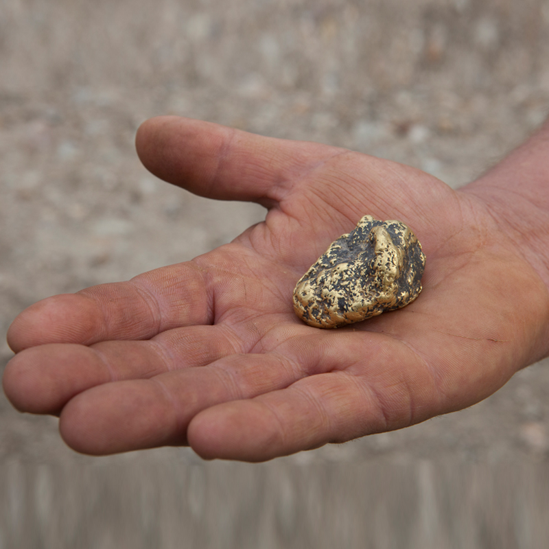 Discovery’s high-octane drama series ‘Gold Rush’ starts today