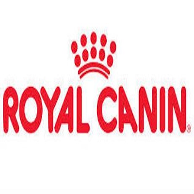 RAPP India bags digital mandate of Royal Canin