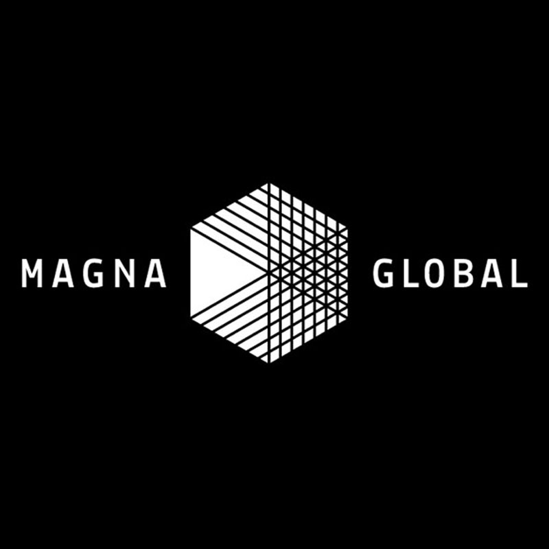 Magna Global says Indian ad market should grow 11.9% in 2014