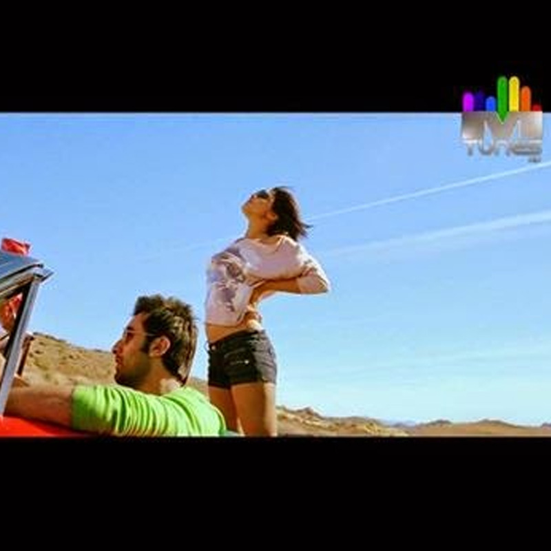 2011: The defining year for the music genre