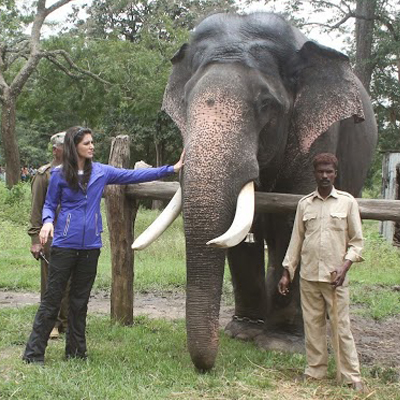 Nargis Fakhri extends her support to Aircel-NDTV Save Our Tigers Campaign