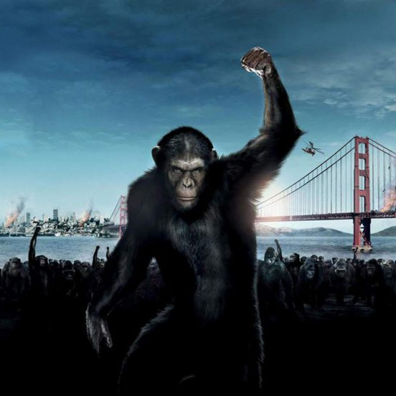 Ape story grosses $ 54 million at box office
