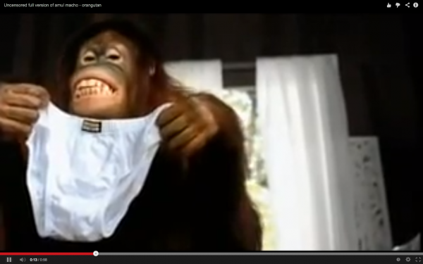 IAA Green Awards: Maneka Gandhi urges advertising industry to exercise caution