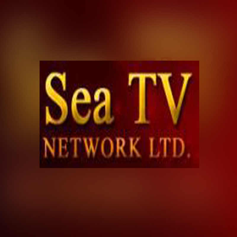 Sea TV Network reports higher income, higher pay channel charges lower PAT for Q2-2014
