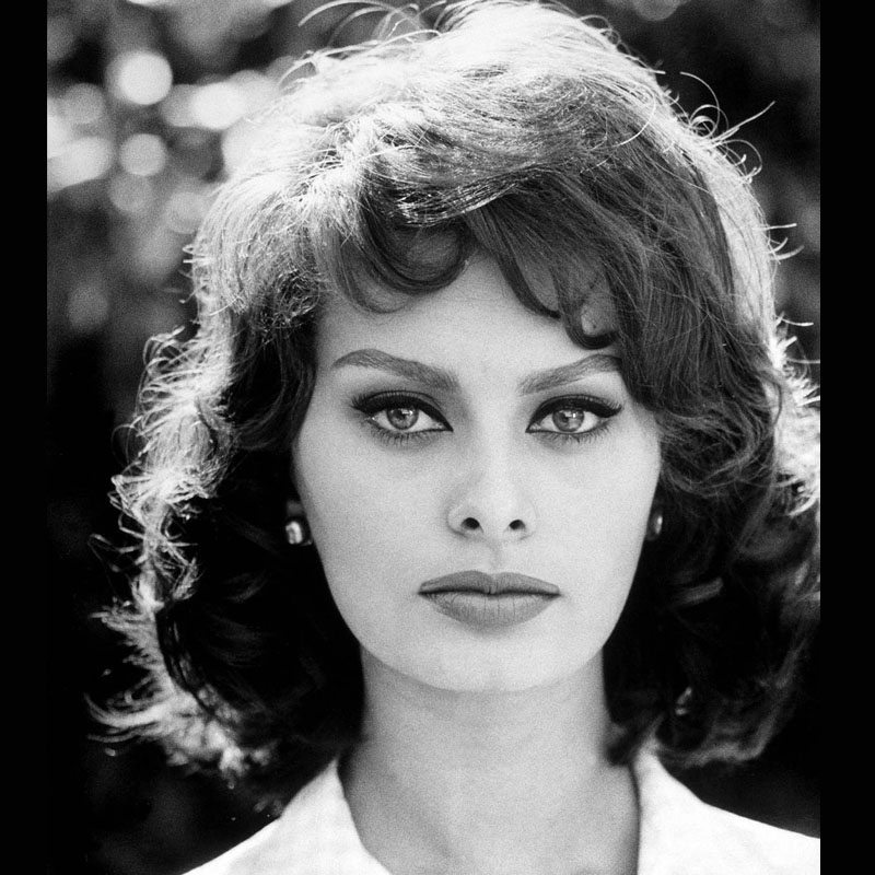 Sophia Loren honoured