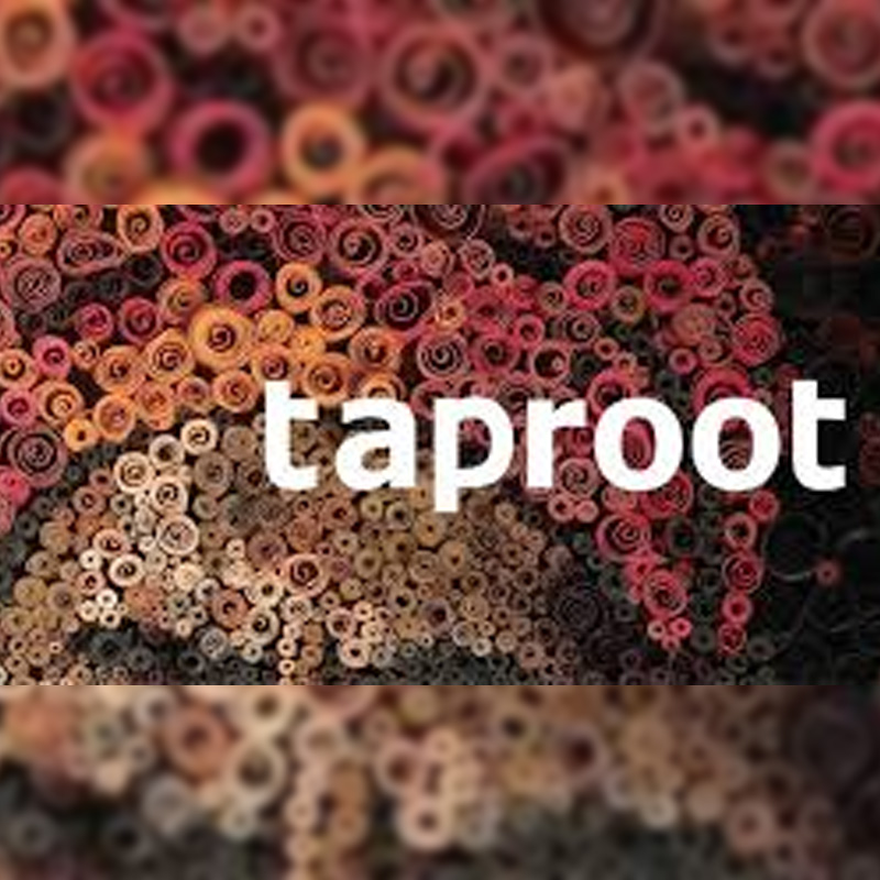 Taproot India launches new campaign for Mumbai Mirror