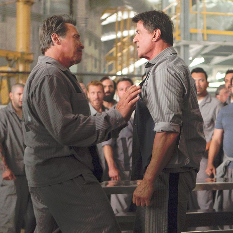 Stallone to pair with Schwarzenegger again