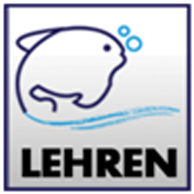 Lehren features on the New MSN Experience in India