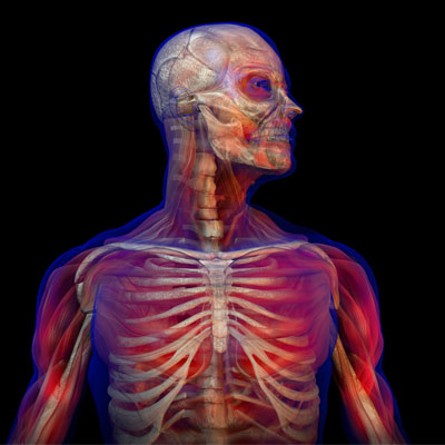 Alfred Haber Television crisscrosses globe with numerous sales for its two series