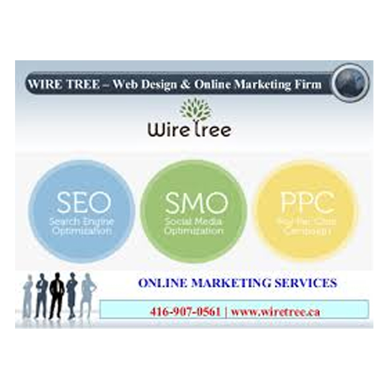 Website marketing firm Intralink launches Search Engine TV