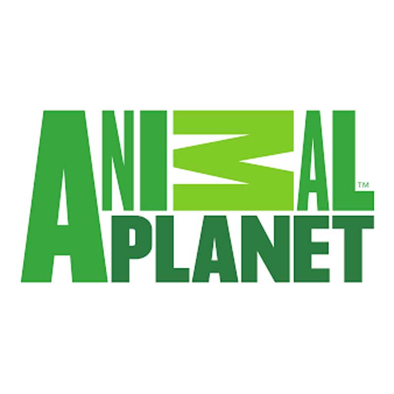 Animal Planet to kick off ‘Award Winning Animal Planet’ on 16 October