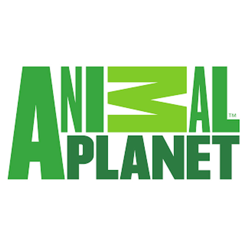 Animal Planet announces search for Hero of the Year