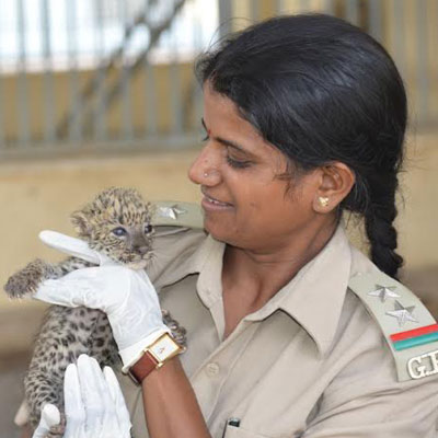 Discovery to premiere ‘The Lion Queens of India’ on 28 September