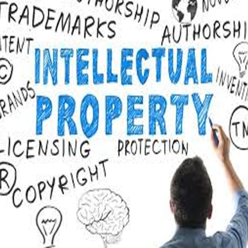 Calls for firmer IP laws featured in IPO seminar