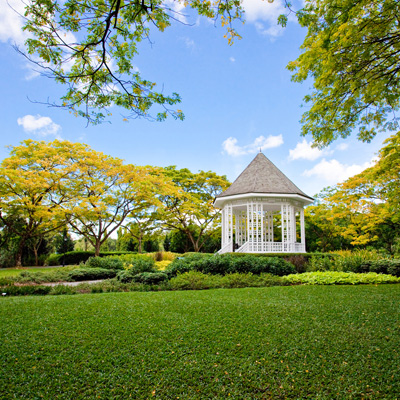 Turner commissions documentary on Singapore Botanic Gardens