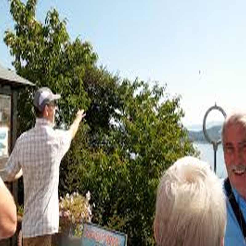 CAS: MSOs at odds over carriage, basic tier fee sharing