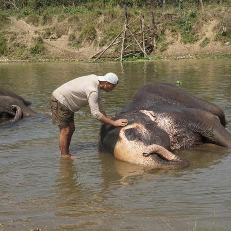 Wild Frank – Adventure In India