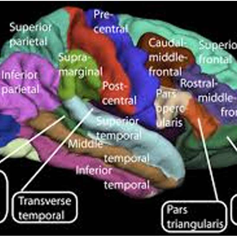Cellebrum develops contest for BSNL, MTNL