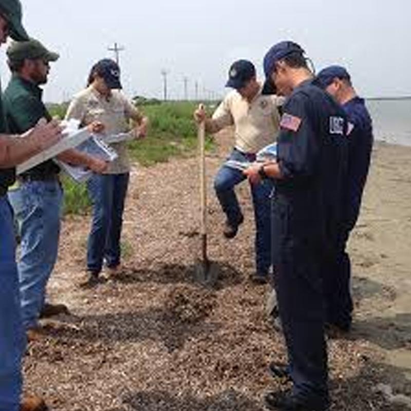 Scat gets a more focussed response