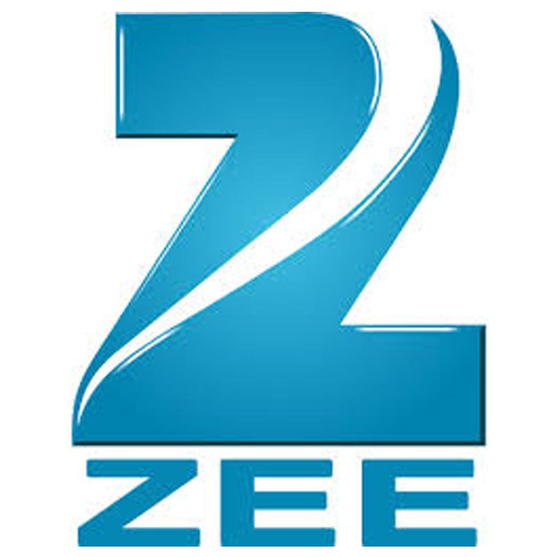 Zee plans to launch Southern channels overseas in Q1 2007