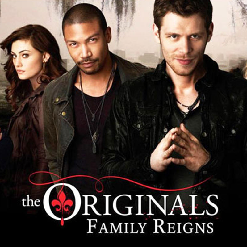 BARC 25: Zee Cafe, Movies Now, Discovery and Living Foodz lead respective genres