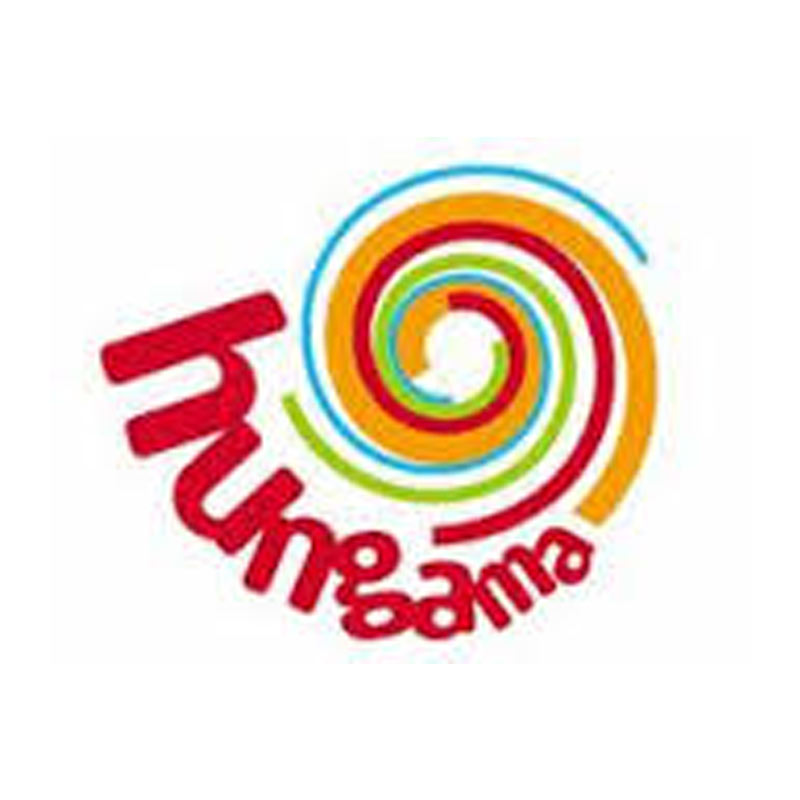 Hungama unveils free multi user gaming portal; targets 1mn users in first year