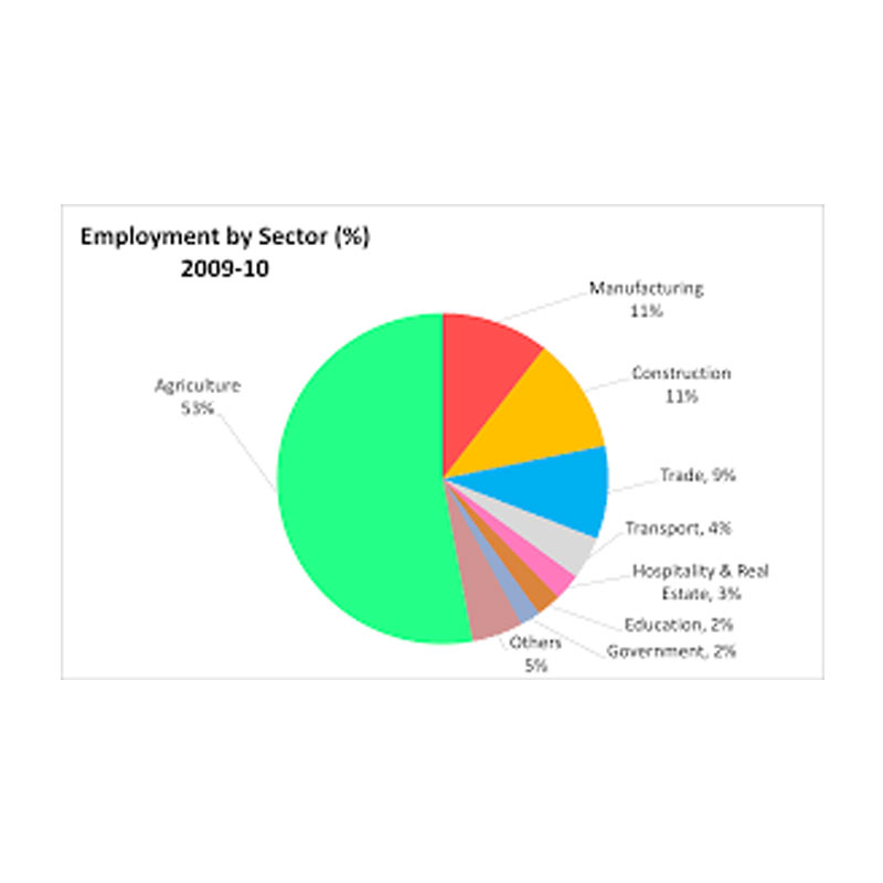 Subscription revenues to touch Rs 306 billion in 2010