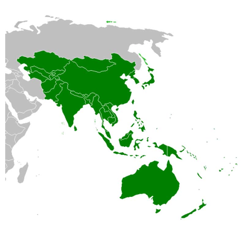India, China to propel APAC, beat CAS Europe market share