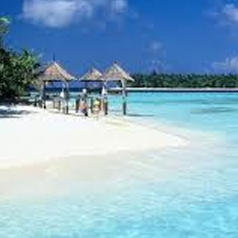 Maldives appeals to ABU for Fifa World Cup broadcast on FTA TV