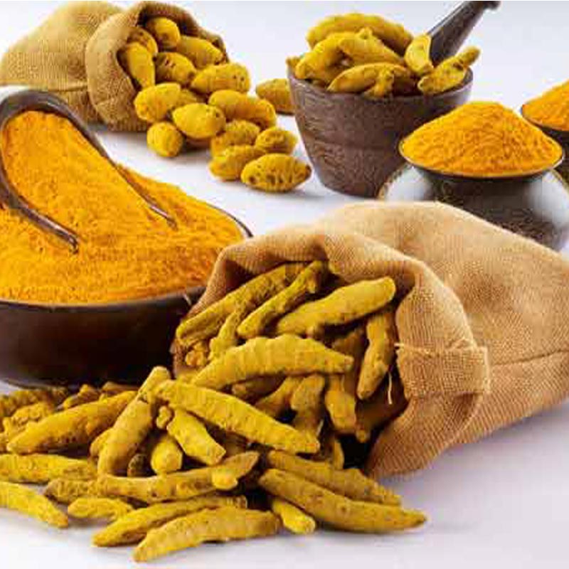FIPB refuses to consider Turmeric Vision proposal for contravention of foreign equity of 80%