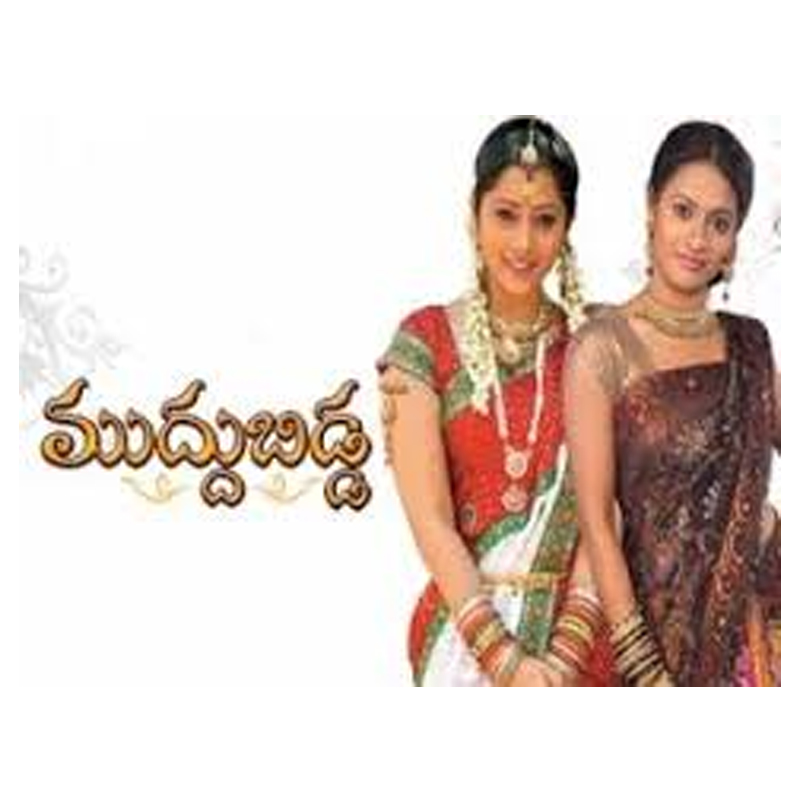 Zee Telugu promotes Rasool Ali as business head