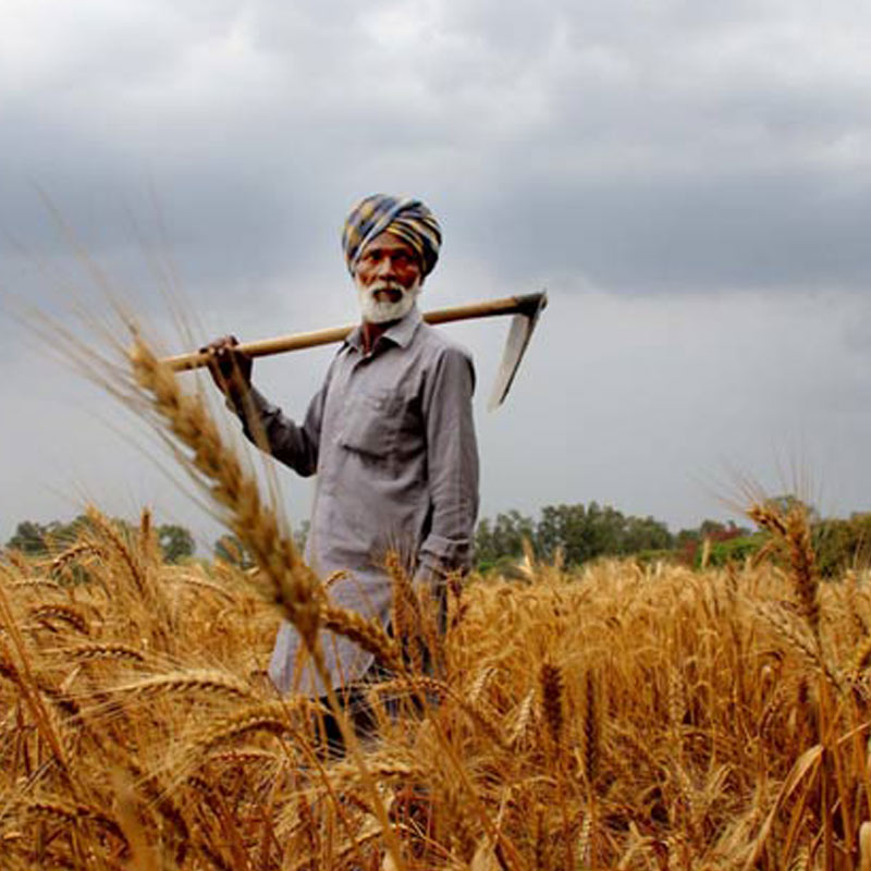 Agriculture news on private TV channels recommended