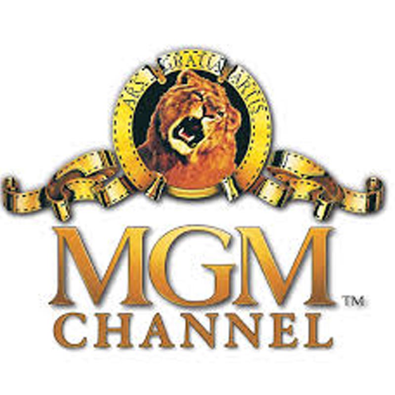 MGM, G4 TV network, Berliner Film team with Mel Brooks on animated series