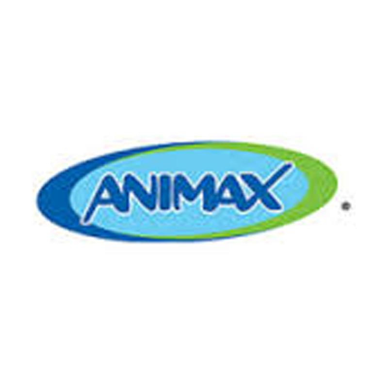 Animax ropes in Supriya Bambawale as marketing manager in India