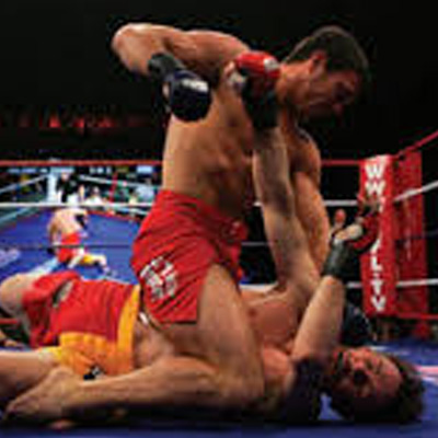 Alfred Haber to distribute International Fight League’s properties globally